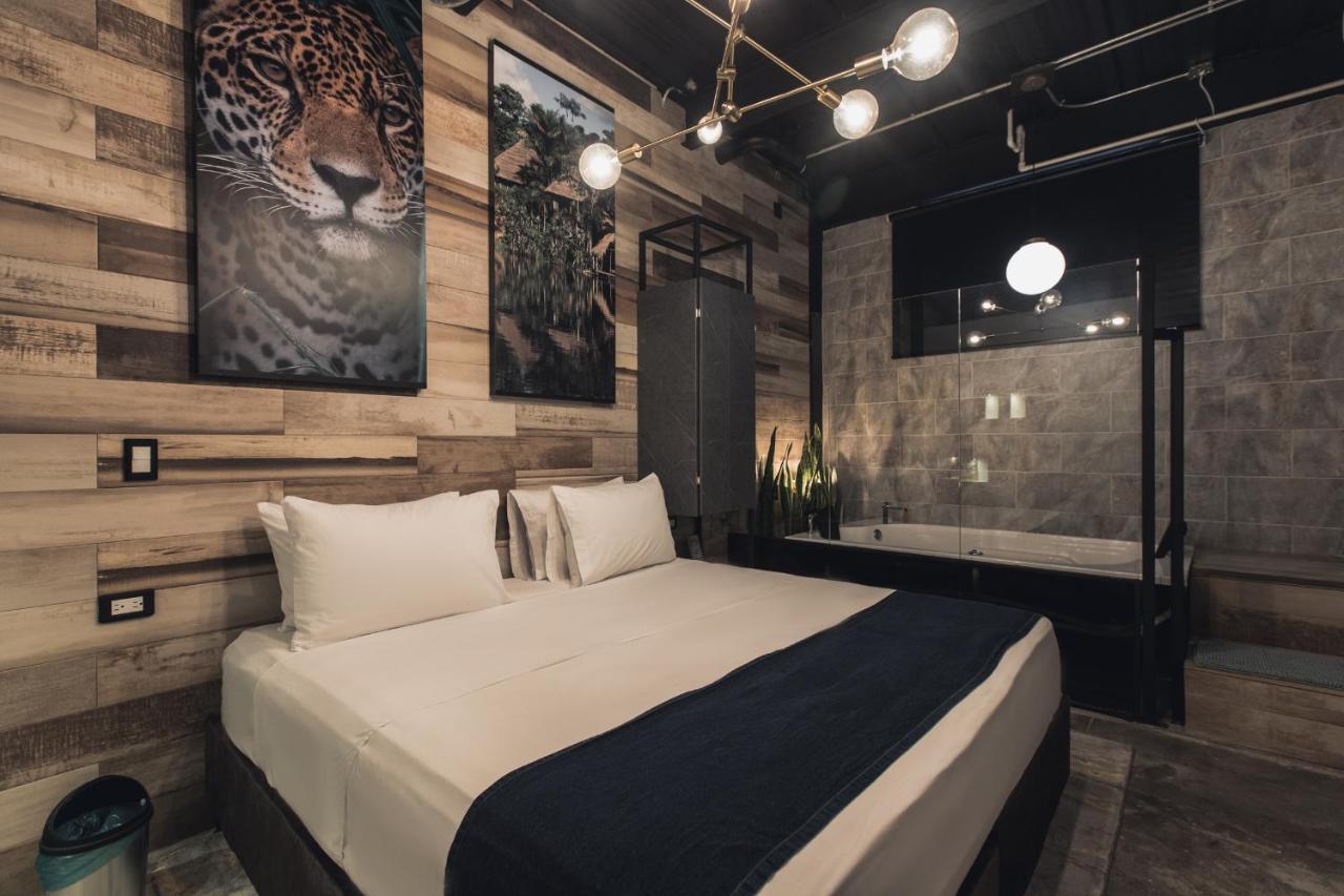 Hotel Lleras Park Concept 麦德林 外观 照片